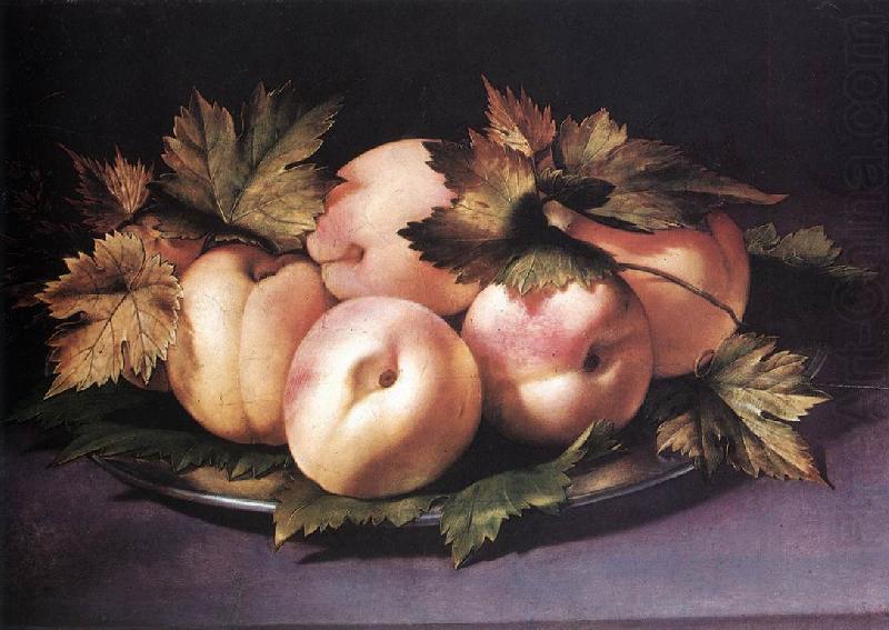 Still-life with Peaches and Fig-leaves fdg, FIGINO, Giovanni Ambrogio